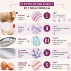 Multi-Colágeno 5 TIPOS: Tu Belleza Empieza Desde Adentro